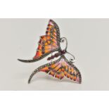 A WHITE METAL PLIQUE A JOUR BROOCH, in the form of a butterfly marcasite and ruby cabcohon detail to