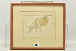 CIRCLE OF ROBERT HILLS (1769-1844) A STUDY OF A BULLOCK GRAZING, unsigned pencil and watercolour