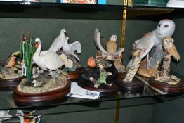 A GROUP OF BORDER FINE ARTS ANIMAL BIRD SCULPTURES, eight pieces including Border Fine Arts