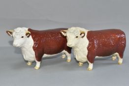 TWO BESWICK HEREFORD BULLS 'CHAMPION OF CHAMPIONS', model no 1363B, second versions with horns flush