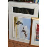 SIX SIGNED LIMITED EDITION PRINTS, comprising two Helen Rhodes prints featuring animals, both from