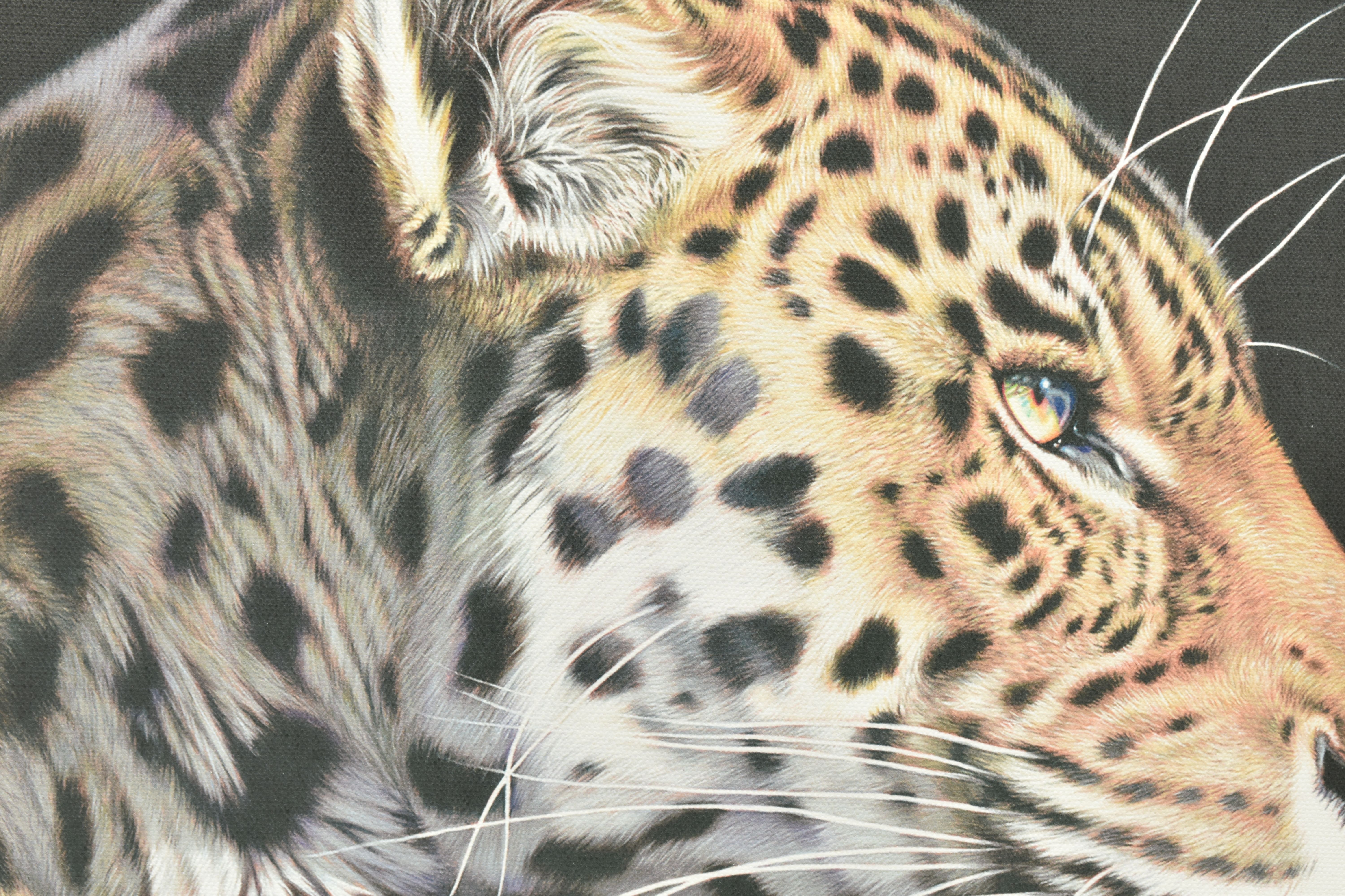 DARRYN EGGLETON (SOUTH AFRICA 1981) 'THE WILD SIDE I', a signed limited edition print on canvas - Image 2 of 3