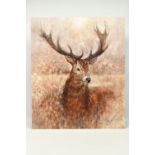 GARY BENFIELD (BRITISH CONTEMPORARY) 'NOBLE' a signed limited edition print of a stag, 16/195,