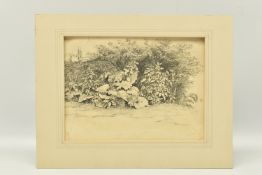 CIRCLE OF JOHN GLOVER (1767-1849) A STUDY OF WILD FOLIAGE, unsigned pencil on paper, approximate