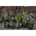 SIXTEEN VARIOUS GREEN GLAZED GARDEN PLANTERS, of various sizes and shapes, all with contents