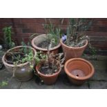 FIVE TERRACOTTA PLANT POTS, of various sizes