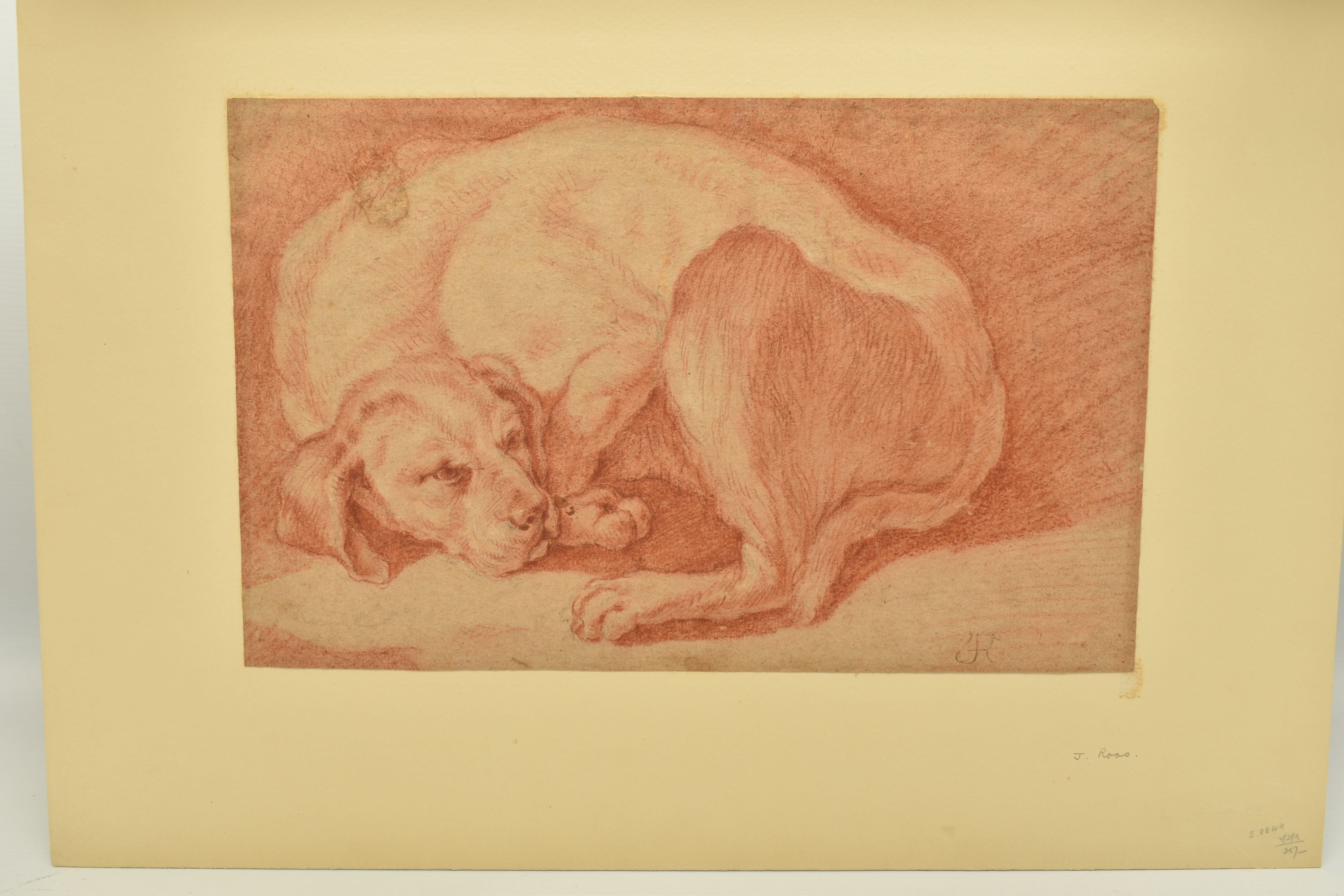 JOHANN HEINRICH ROOS (1631-1685) A RESTING DOG, initialled bottom right, red chalk on paper, - Image 2 of 6