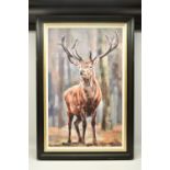 DEBBIE BOON (BRITISH CONTEMPORARY), 'STANDING TALL', a signed limited edition print of a stag, 57/