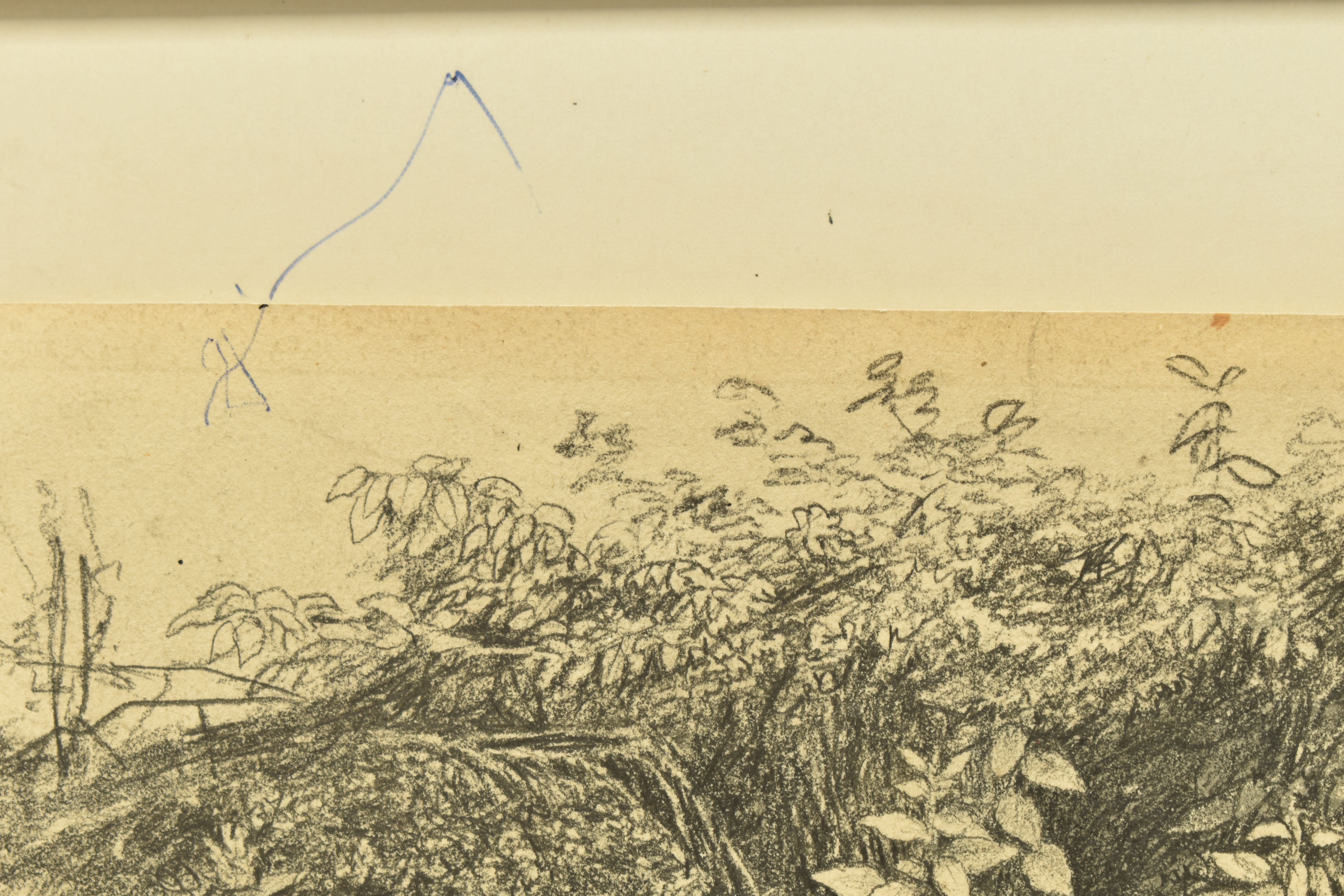 CIRCLE OF JOHN GLOVER (1767-1849) A STUDY OF WILD FOLIAGE, unsigned pencil on paper, approximate - Image 6 of 7