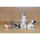 FOUR ROYAL DOULTON DOG FIGURES, comprising Cairn Terrier Begging HN2589, model no 1131, height