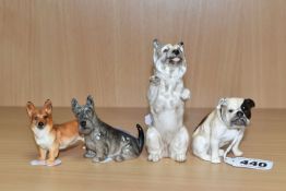 FOUR ROYAL DOULTON DOG FIGURES, comprising Cairn Terrier Begging HN2589, model no 1131, height