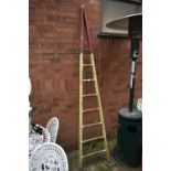 A VINTAGE PAINTED EIGHT RING APPLE LADDER