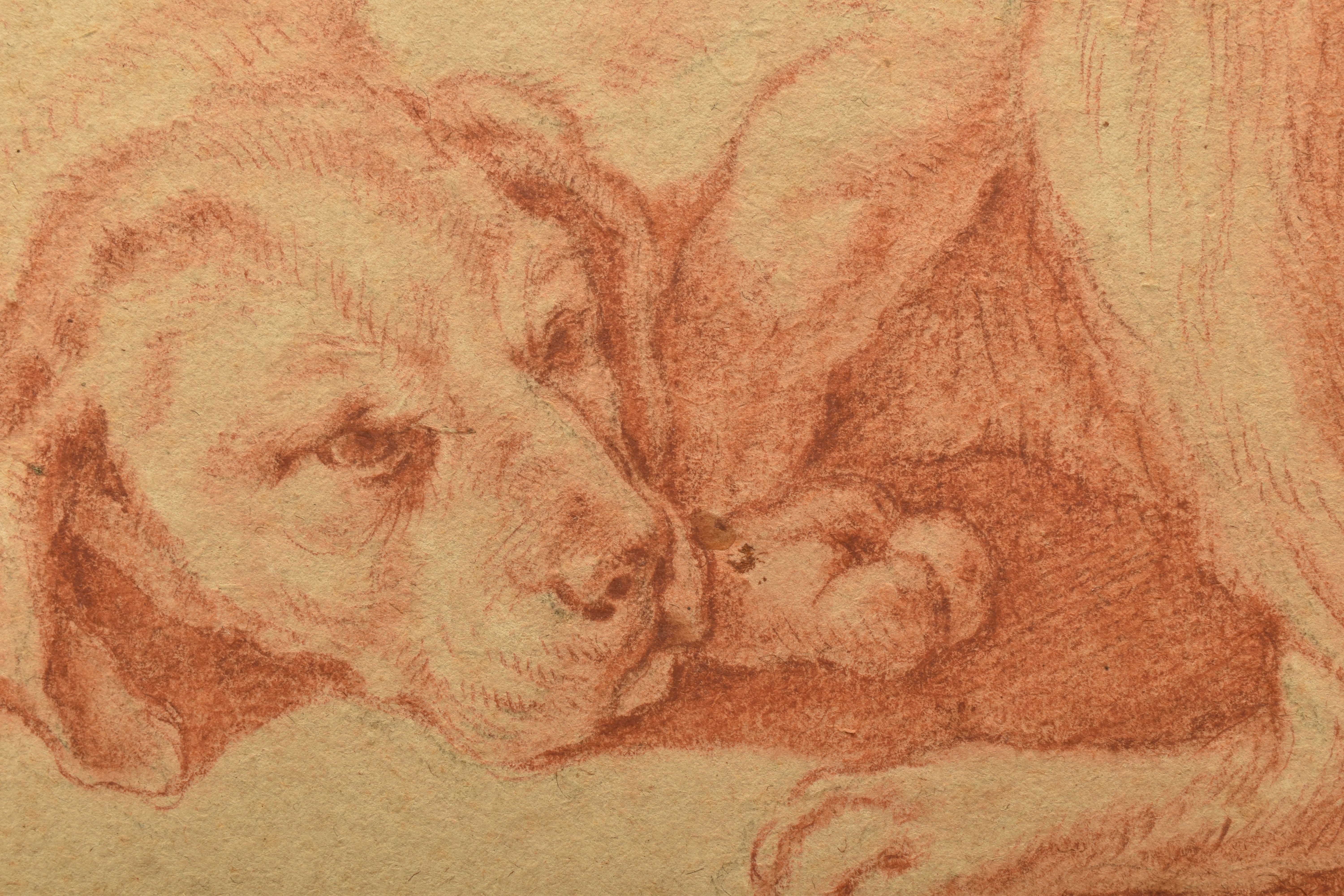 JOHANN HEINRICH ROOS (1631-1685) A RESTING DOG, initialled bottom right, red chalk on paper, - Image 3 of 6