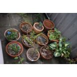 ELEVEN VARIOUS TERRACOTTA PLANT POTS, and three plastic slate effect square tapered planters, all