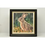 DEBBIE BOON (BRITISH CONTEMPORARY), 'WATCHFUL', a signed limited edition print of a rabbit, 57/95