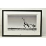 ANUP SHAH (KENYAN CONTEMPORARY) 'DANCE', a signed limited edition photographic print depicting a