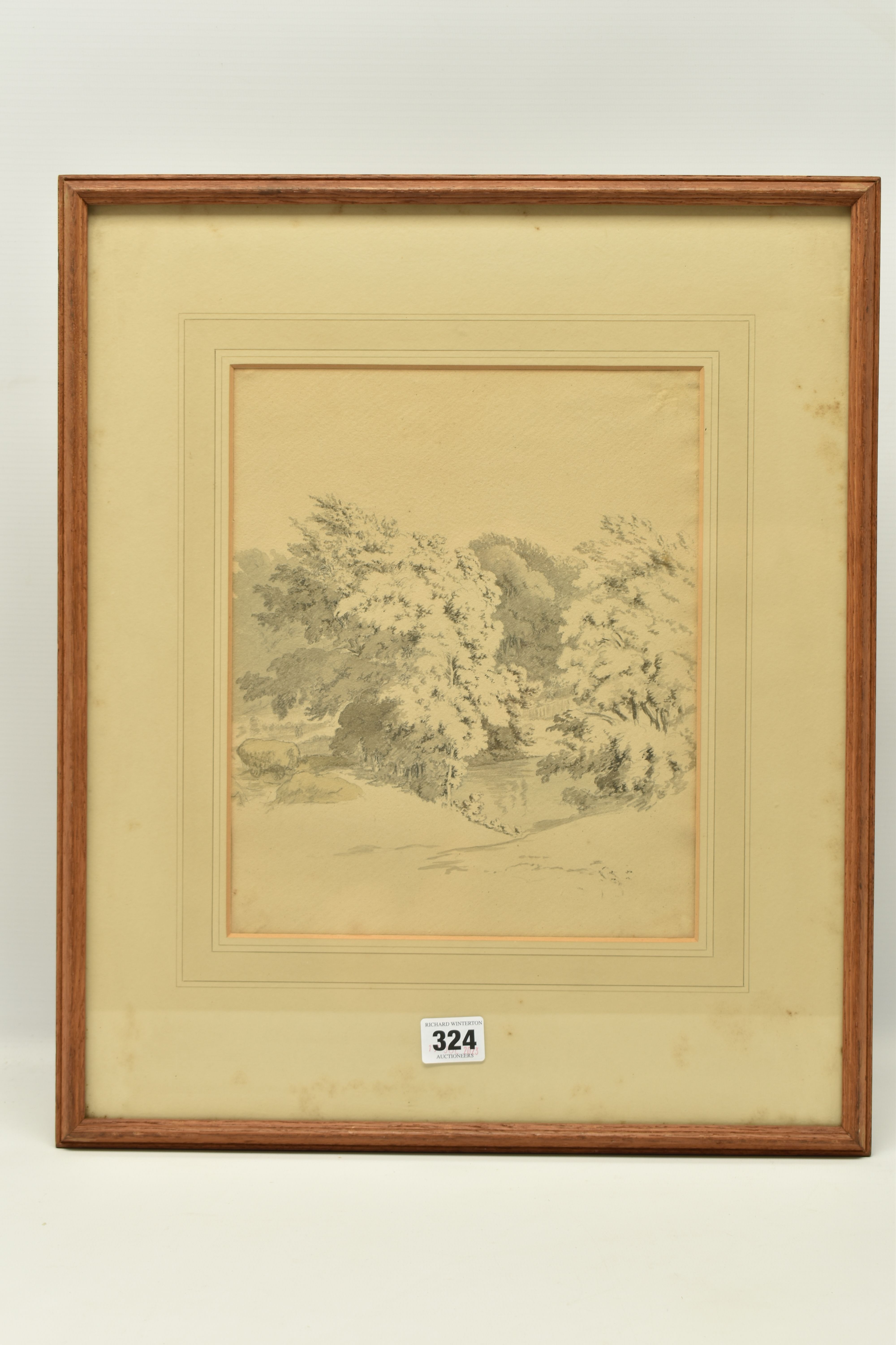 CIRCLE OF ROBERT HILLS (1769-1844) 'TREES IN KNOLE PARK', a sketch of a landscape with pool of