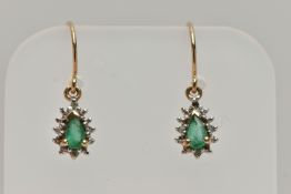 A PAIR OF EMERALD DROP EARRINGS, each earring set with a pear cut emerald, within a surround of