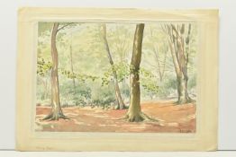 EDWARD WIGLEY (20TH CENTURY) 'EPPING FORREST', a woodland landscape, initialled and dated 1954