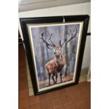 DEBBIE BOON (BRITISH CONTEMPORARY), 'STANDING TALL', a signed limited edition print of a stag, 57/