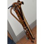 A GROUP OF ELEVEN WALKING STICKS, comprising a right handed stick with a handle for arthritis