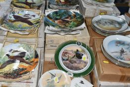 THIRTY NINE BIRD THEMED COLLECTORS PLATES, mainly boxed, series comprising eleven x Royal Grafton '