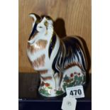 A BOXED ROYAL CROWN DERBY IMARI PAPERWEIGHT, Rough Collie issued 2003-2006, with gold button stopper