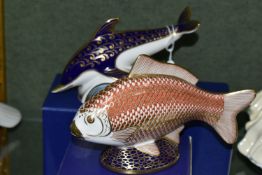 TWO BOXED ROYAL CROWN DERBY IMARI PAPERWEIGHTS, comprising Golden Carp issued 1986-1991, and Dolphin