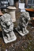 A PAIR OF COMPOSITE SEARED GARDEN LIONS, height 58cm