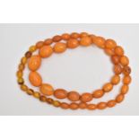 AN AMBER BEAD NECKLACE, designed as a single row of graduating oval beads, largest bead measuring
