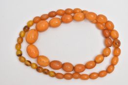 AN AMBER BEAD NECKLACE, designed as a single row of graduating oval beads, largest bead measuring