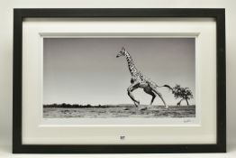 ANUP SHAH (KENYA CONTEMPORARY) 'DANCE', a signed limited edition photographic print depicting a