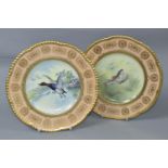 TWO CAULDON CHINA HANDPAINTED CABINET PLATES, painted with scenes of ducks and fish, with pale