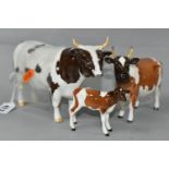 THREE BESWICK FIGURES OF AYRSHIRE CATTLE, comprising Ayrshire Bull model no 1454B, Ayrshire Cow no