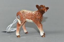 A BESWICK DAIRY SHORTHORN CALF, model no 1406C (1) (Condition Report: appears in good condition with