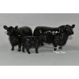 THREE BESWICK FIGURES OF ABERDEEN ANGUS CATTLE, comprising Aberdeen Angus Bull model no 1562,