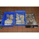 THREE BOXES OF FOSSILS, ROCKS AND MINERALS, approximately forty to fifty specimens including