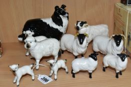 A GROUP OF BESWICK SHEEP AND A SHEEPDOG, comprising Sheep model no 935, Lambs no 936 (reglued