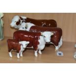 FOUR BESWICK FIGURES OF HEREFORD CATTLE, all in brown and white gloss finish, comprising Hereford