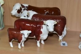 FOUR BESWICK FIGURES OF HEREFORD CATTLE, all in brown and white gloss finish, comprising Hereford