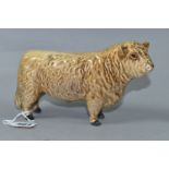 A BESWICK GALLOWAY BULL - SILVER DUNN, model no 1746C (1) (Condition Report: has some damage and