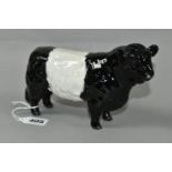A BESWICK BELTED GALLOWAY BULL, model no 1746B (1) (Condition Report: appears in good condition with