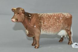 A BESWICK DAIRY SHORTHORN COW, model no 1510 (1) (Condition Report: appears in good condition with