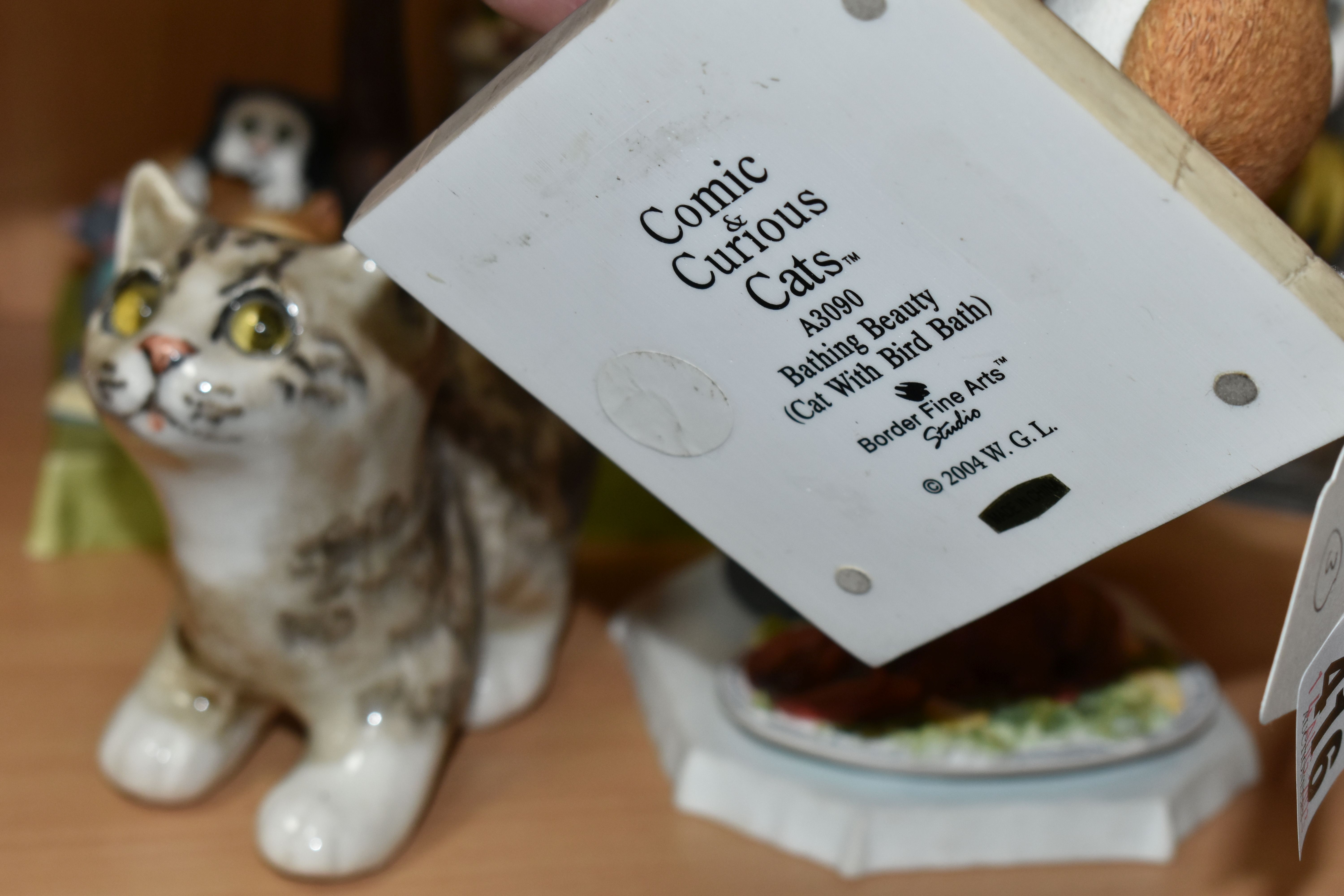 FIVE BORDER FINE ARTS 'COMIC & CURIOUS CATS' FIGURES, AND A WINSTANLEY KITTEN FIGURE, comprising - Image 7 of 7