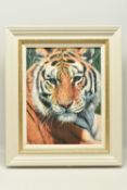 TONY FORREST (BRITISH 1961) 'WILD THING', a signed limited edition print on board of a tiger, 49/195