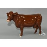 A BESWICK RED POLL COW, model no 4111 (1) (Condition Report: has a chip to her front right hoof,