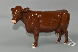 A BESWICK RED POLL COW, model no 4111 (1) (Condition Report: has a chip to her front right hoof,