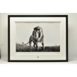 ANUP SHAH (KENYA CONTEMPORARY) 'HUNTER', a signed limited edition photographic print of a lion, 15/