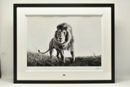 ANUP SHAH (KENYA CONTEMPORARY) 'HUNTER', a signed limited edition photographic print of a lion, 15/