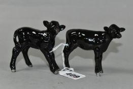 TWO BESWICK ABERDEEN ANGUS CALVES, model numbers 1249F and 1406A (2) (Condition Report: good
